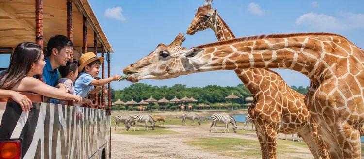 Safari World